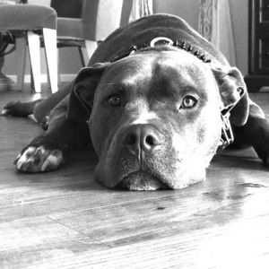 Meet your Posher, Sarah’s Hero